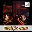 عقاب الربع_الشيخ زايد