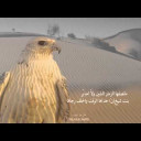 شيلة ابسمي ياصغيرة