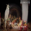 أجمل وطن