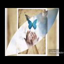 قصيدة رائعة (نوران في واحد)