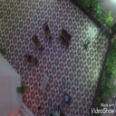 تي في ٤
