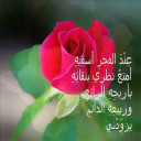 صداقة الورد