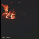 شدت ركايبهم