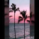 أَحْبَبْتُ نَفْسِي عِنْدَمَا أَحْبَبْتُهَا للشاعر عبد العزيز الشراكي