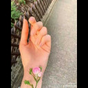 لَا شَيْءَ يُحَبُّ للشاعر عبد العزيز الشراكي
