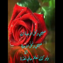 حبيبي وكل الأحبة أنت للشاعر عبد العزيز الشراكي