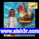 محمد الحميداني