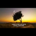 لا تعذليني (فلسطين)