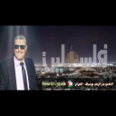 الجدارية الأيوبية(فلسطين)