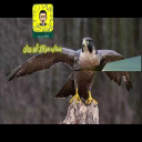 ذكريات الطفولة باختصار