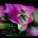 دور له ياعرب