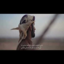 لا تسأليني / فصيح