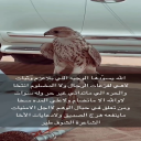 الله يسودها الوجيه الي بلا عزم وثبات