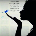 قيس ليلى