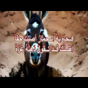 الحمير لاتسقط بالحفرة مرتين