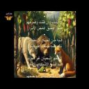 الدب وسياسة احتواء الذئب