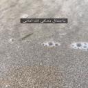 ياجمال بشكي لك امابي