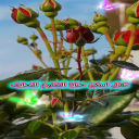 لمسة اياديك
