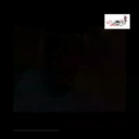 ردت الفعل(غير مجاز)
