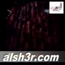 عامر بن عمرو-تصويت المسرح