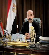 عمرو العماد