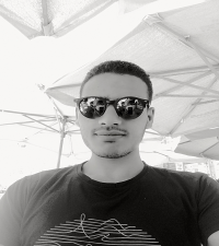 الشاعر محمود أحمد العش