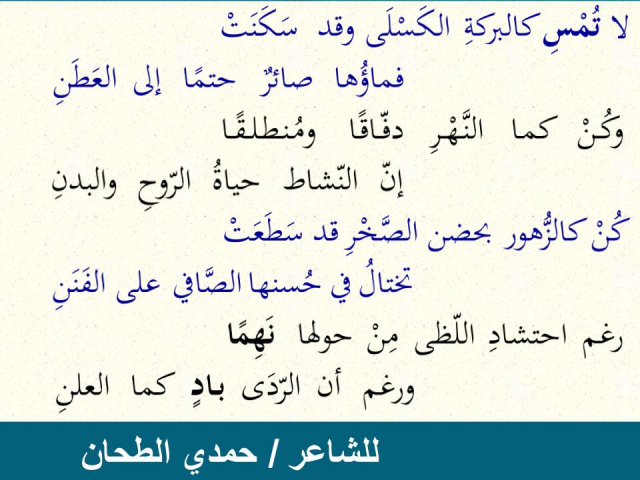 لا تمس مثل البركة