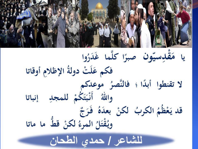 سياسة
