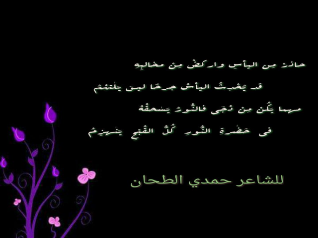 حكمة