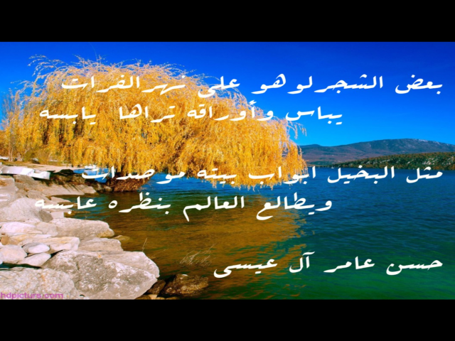 بعض الشجر لو هو على نهر الفرات