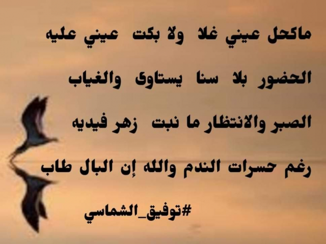 ماكحل عيني غلا