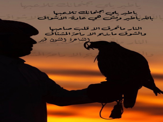 ياطير يلي بجنحانك