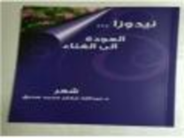 ديوان نيدوزا العودة الي الغناء