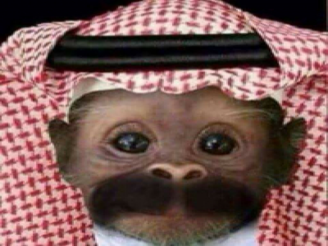 شيوخ الفيس