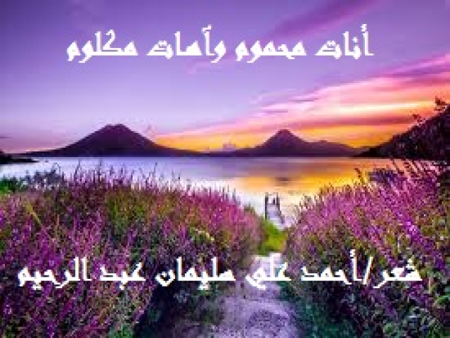 أنات محموم وآهات مكلوم