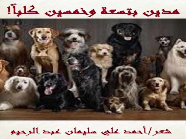 مدين بتسعة وخمسين كلباً!