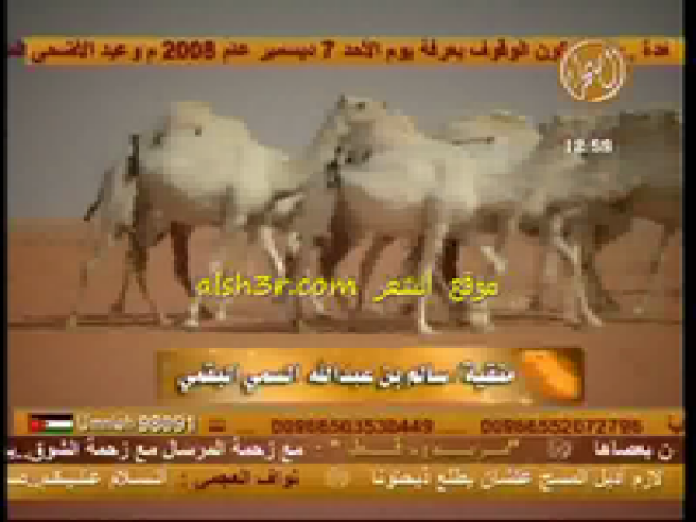 سالم السمي_شله