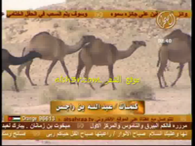 دبيان السبيعي_عبدالله بن راجس