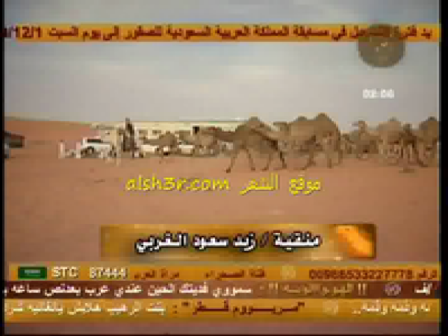 زيد سعود الغربي_شله