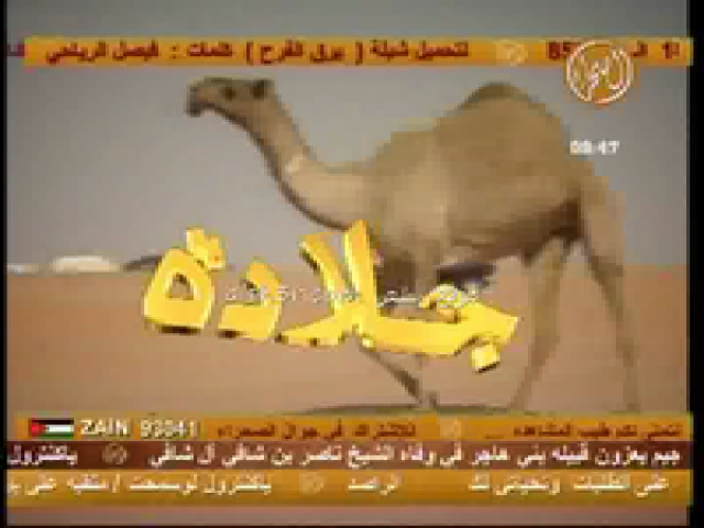جلاده_سعود السبيعي