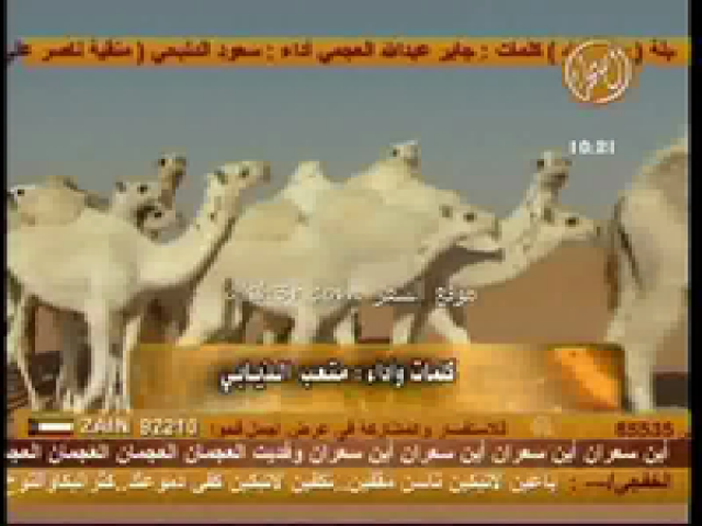 منقية زايد هجرس