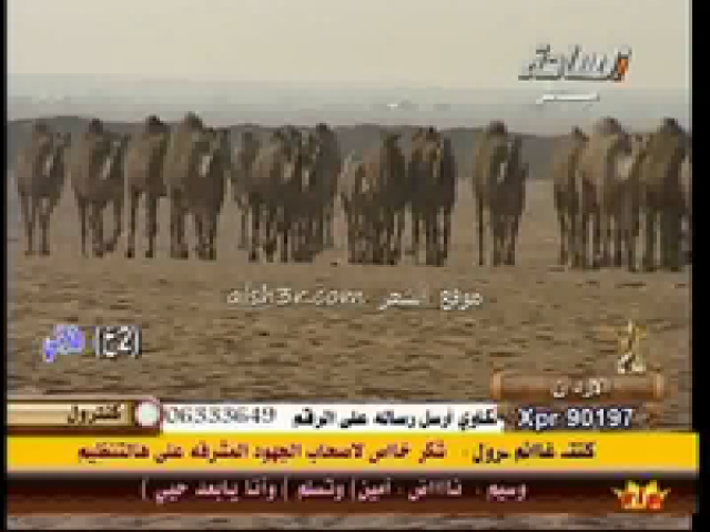 منقية عادل التميمي