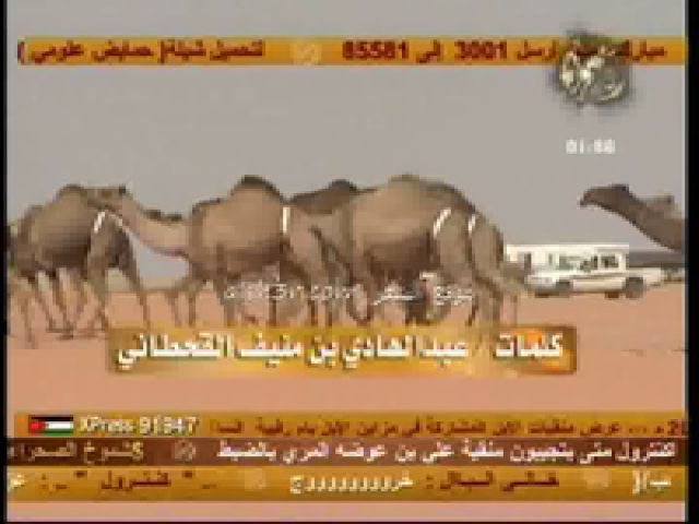 منقية منيف عبدالهادي الخنفري