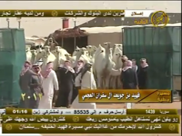 موقفات