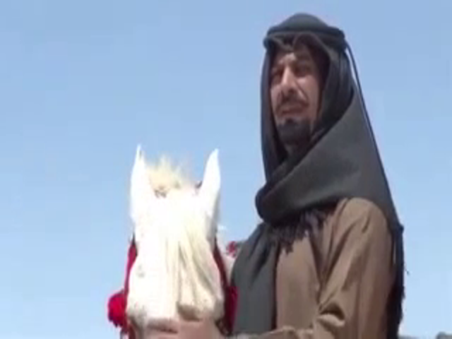 بعض القصائد منها ام ( العويل