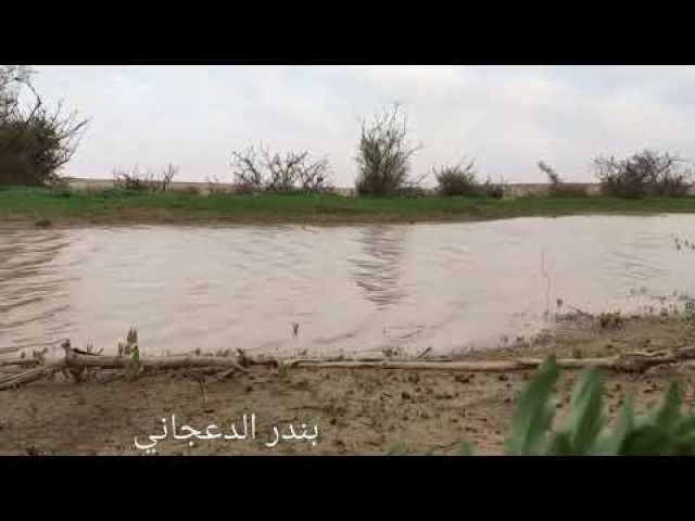 المروج الخضر ...شعر فصيح