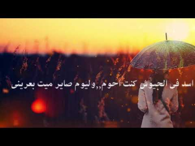 على محراب الحب تؤم القوم