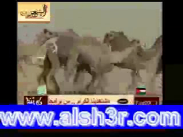 ابل رفعان ال عاطف
