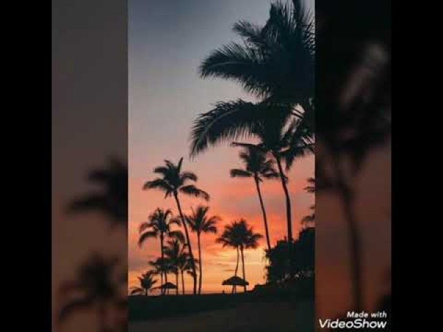 ألأنكِ أنتِ الحياة للشاعر عبد العزيز الشراكي