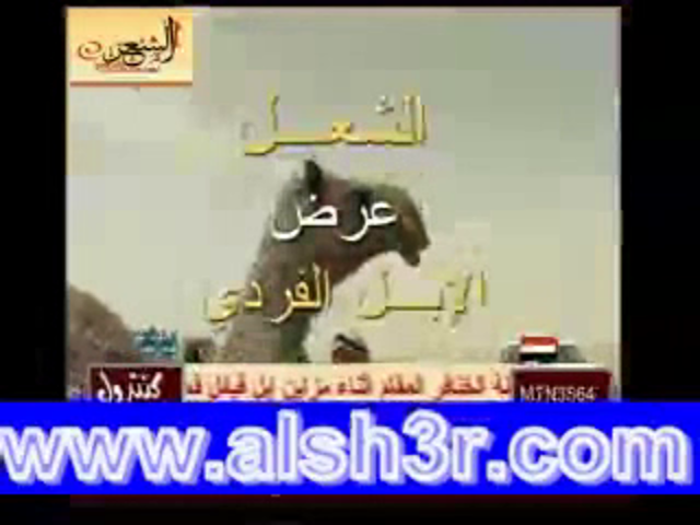 الشعل العرض الفردي